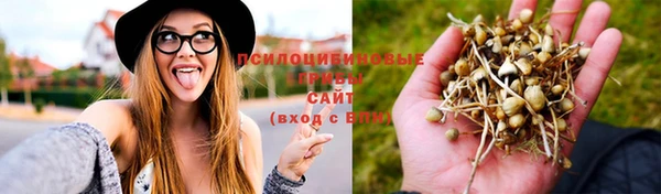 spice Богданович