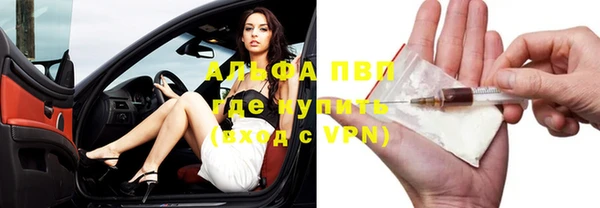 spice Богданович