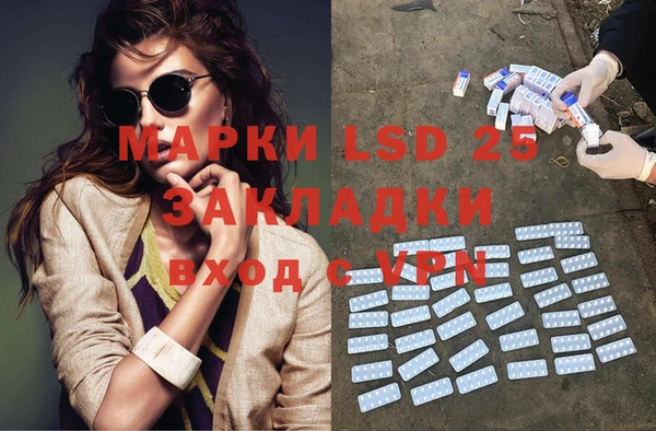 spice Богданович