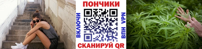 Канабис OG Kush  купить  сайты  Кузнецк 